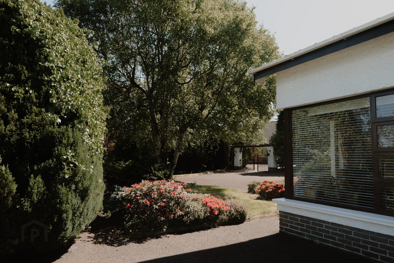 82 Banbridge Road 42 of 52