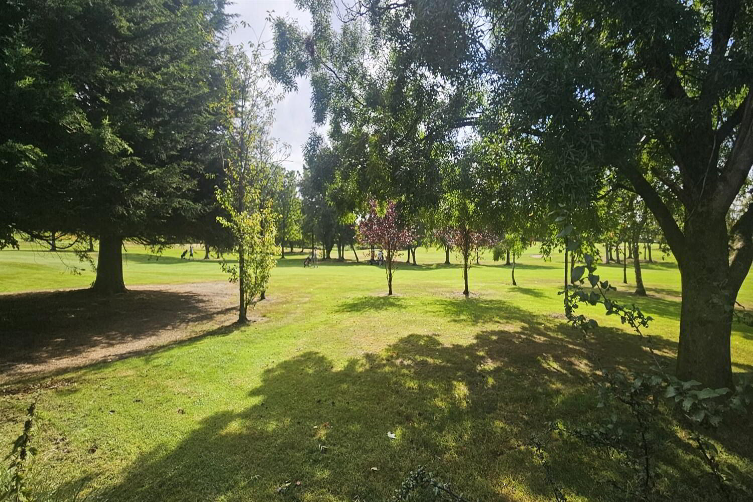 66 Sunningdale Park 27 of 28