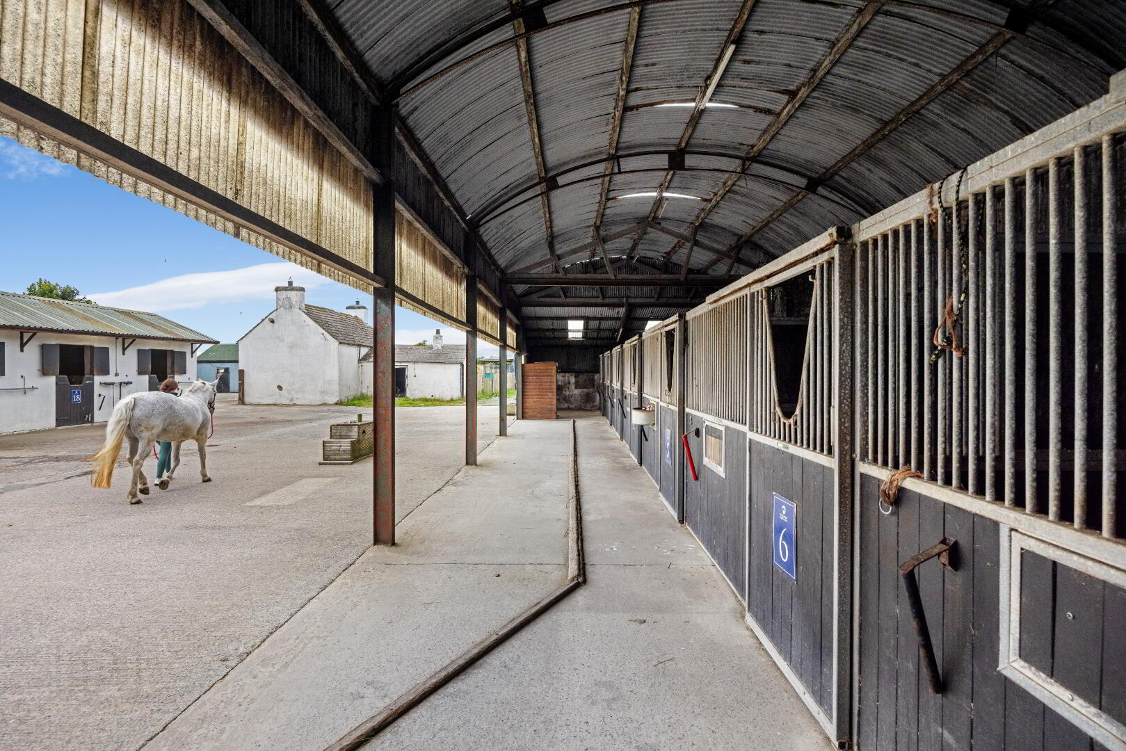 Heathview Equestrian, 60a Upper Gransha Road 8 of 19