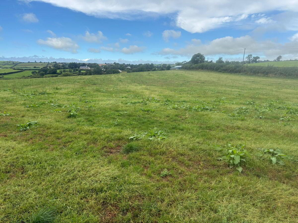 property description image