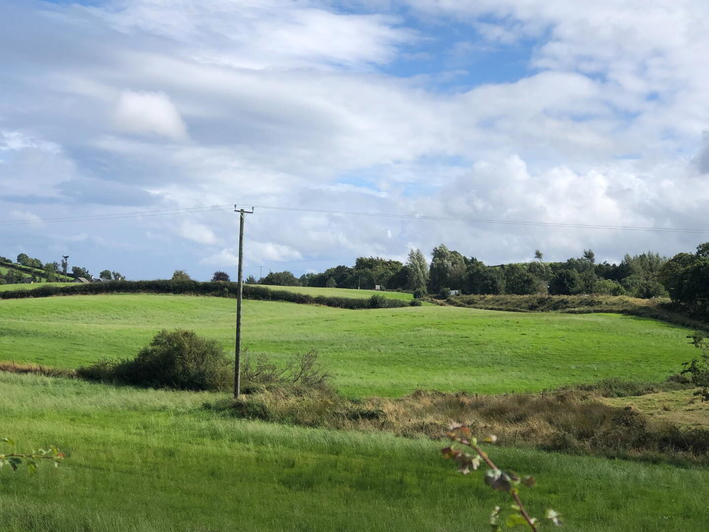 property description image
