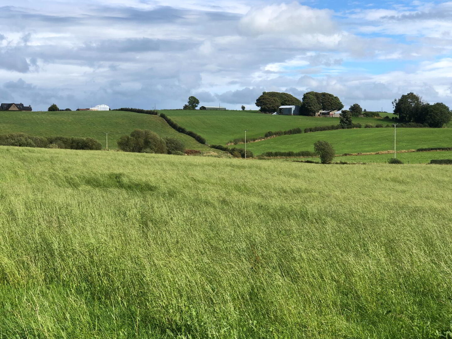 Mossbann Road 5 of 7