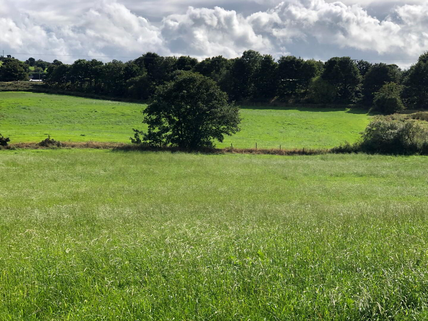 Mossbann Road 7 of 7