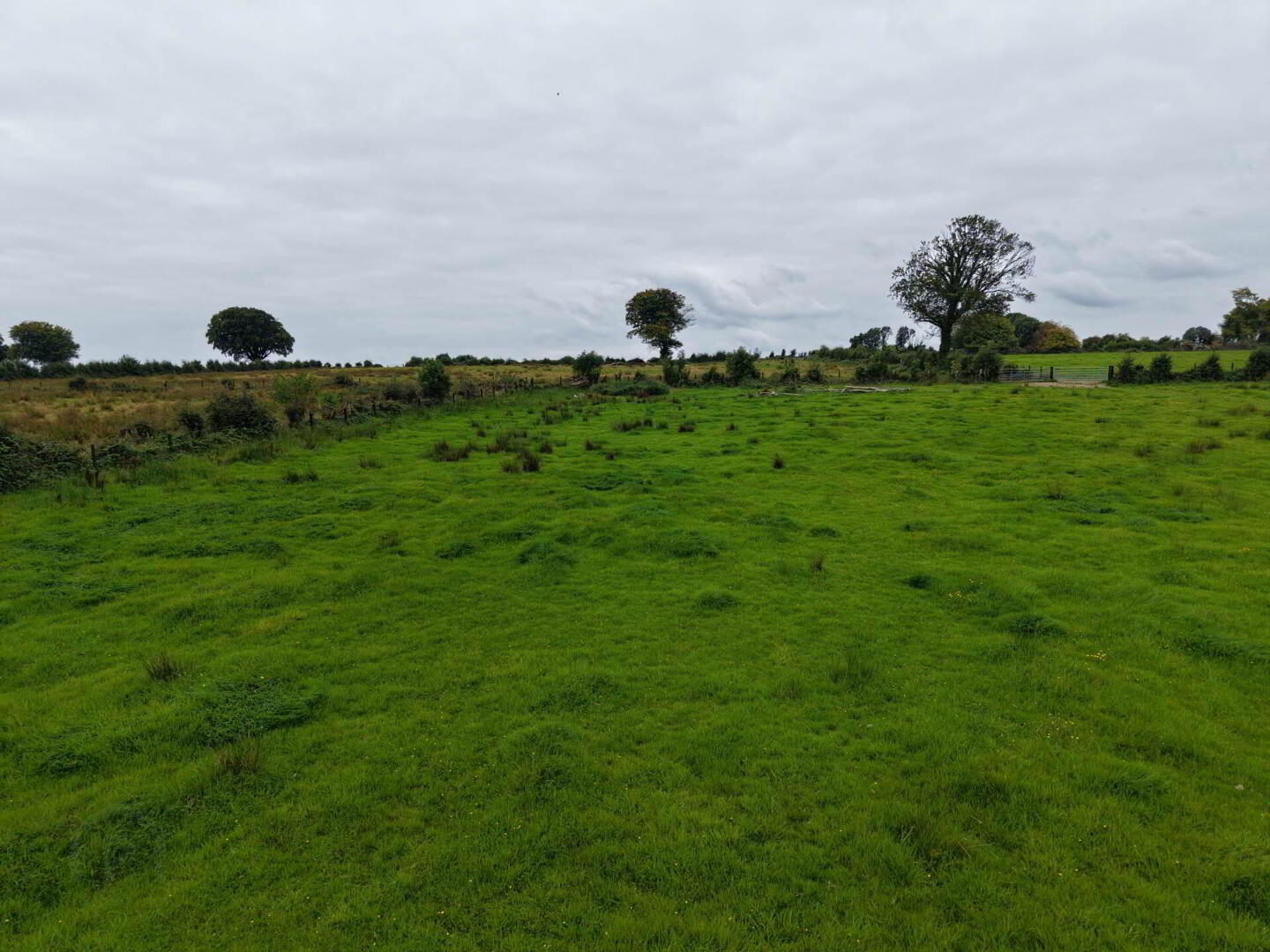 Kilcommadan 9 of 24