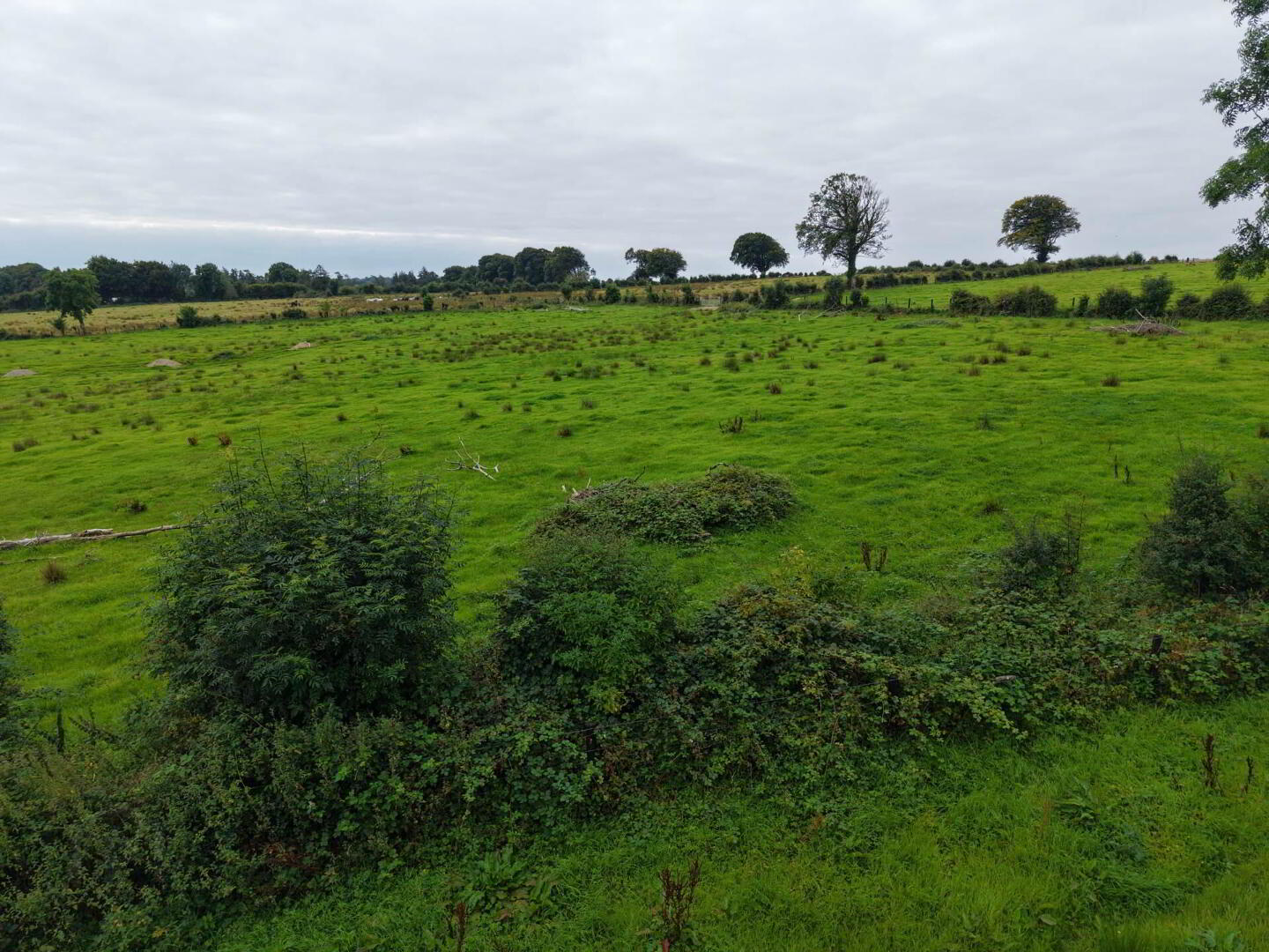 Kilcommadan 18 of 24