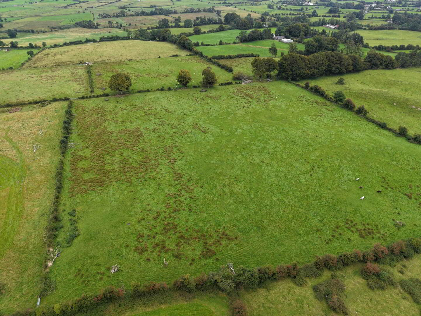 Kilcommadan 13 of 24