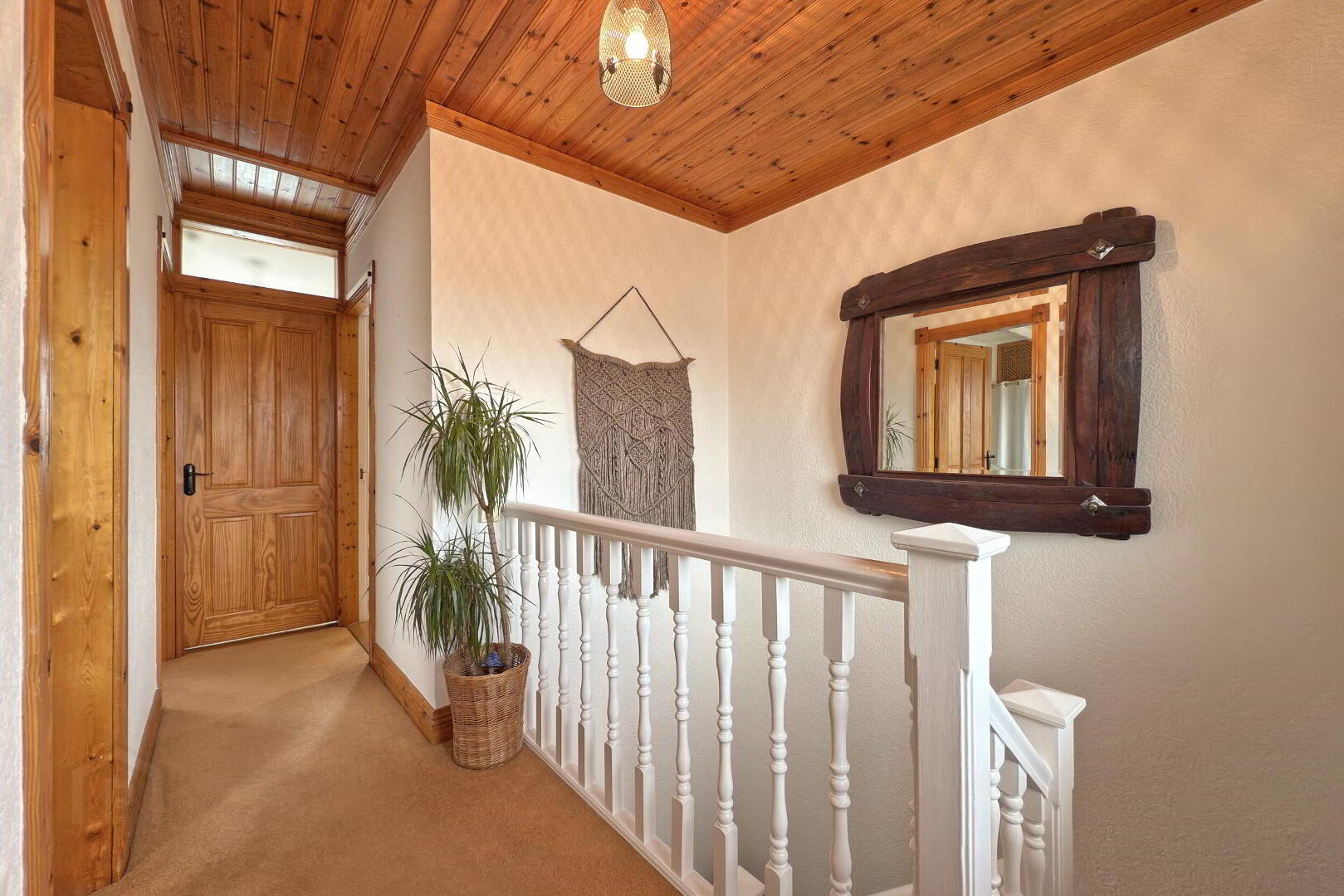 1 Elmwood Park 10 of 22