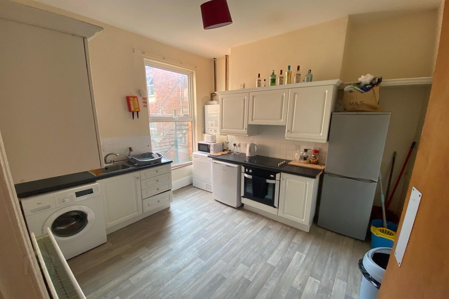 Apt 1, 13 Malone Avenue 3 of 8