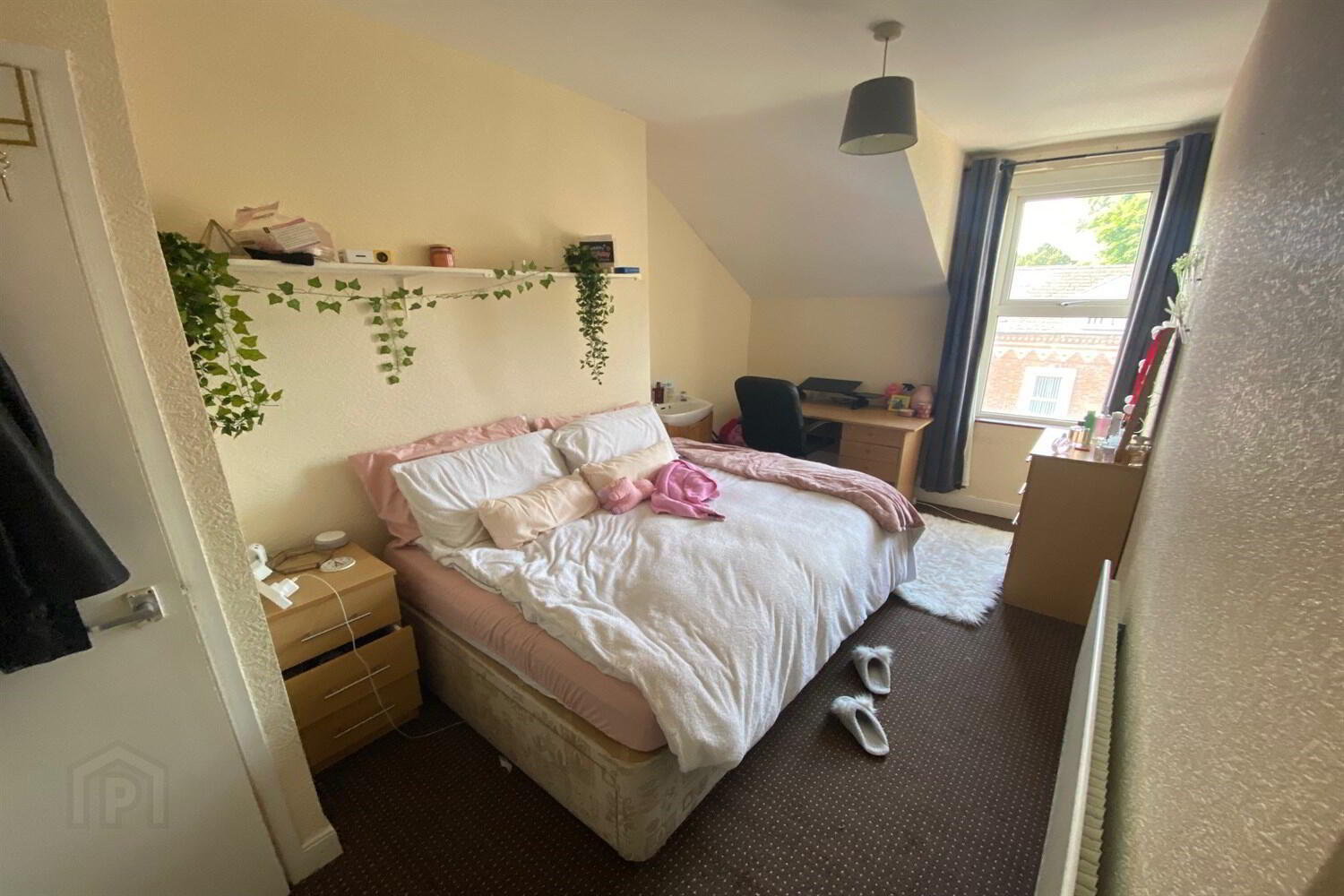 Apt 1, 13 Malone Avenue 5 of 8