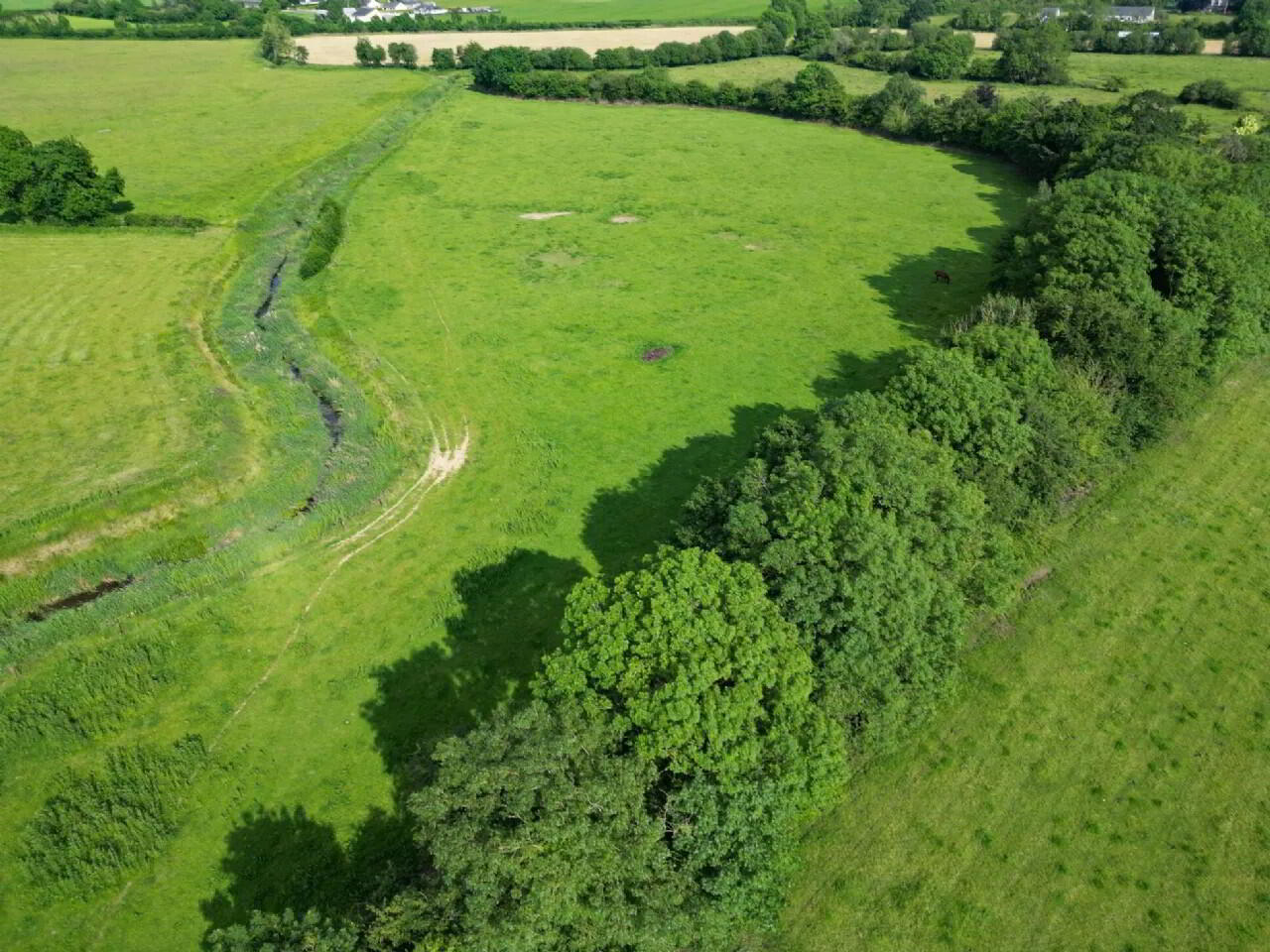 Woodville House On, C. 38 Acres 17 of 75