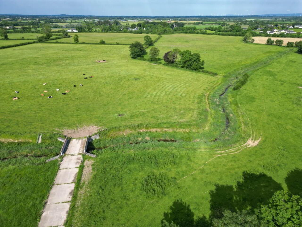 Woodville House On, C. 38 Acres 18 of 75