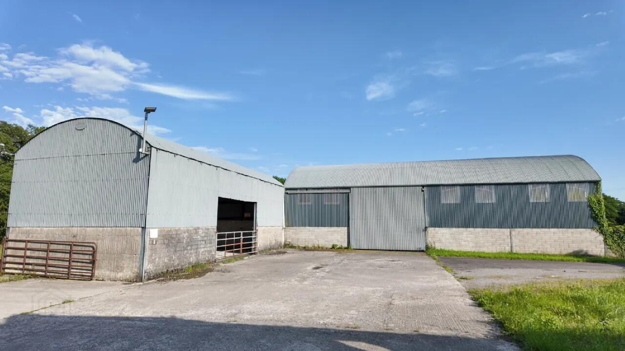 Woodville House On, C. 38 Acres 27 of 75
