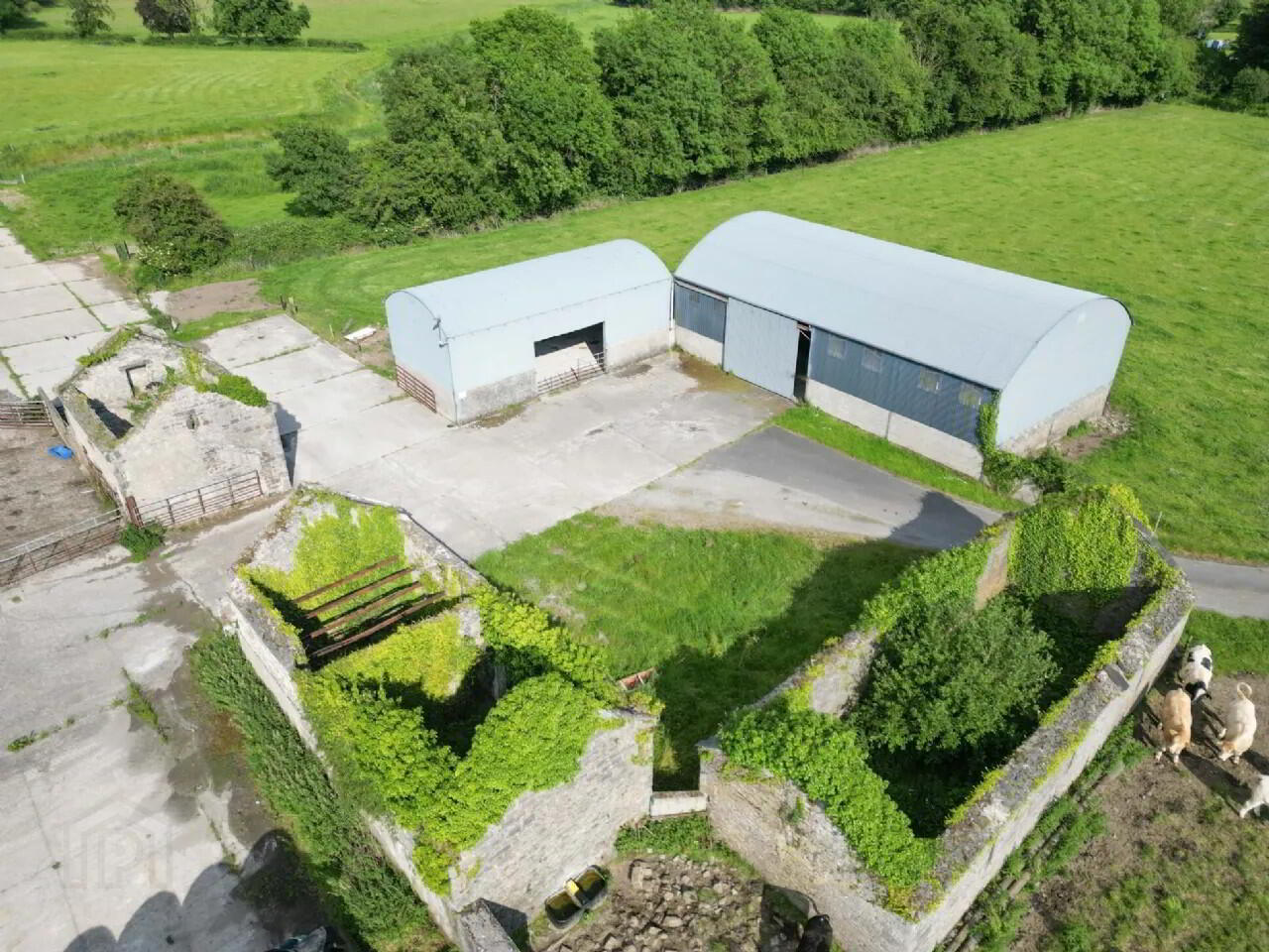 Woodville House On, C. 38 Acres 55 of 75