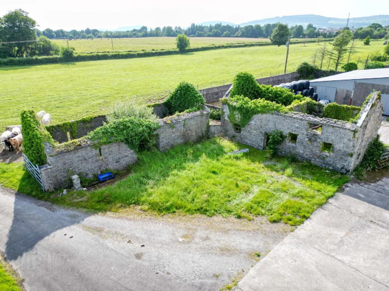 Woodville House On, C. 38 Acres 57 of 75