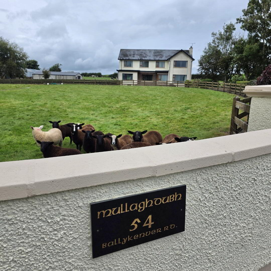 'Mullaghdubh', 54 Ballykenver Road 4 of 60