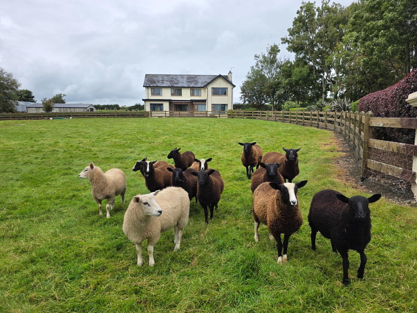 'Mullaghdubh', 54 Ballykenver Road 10 of 60