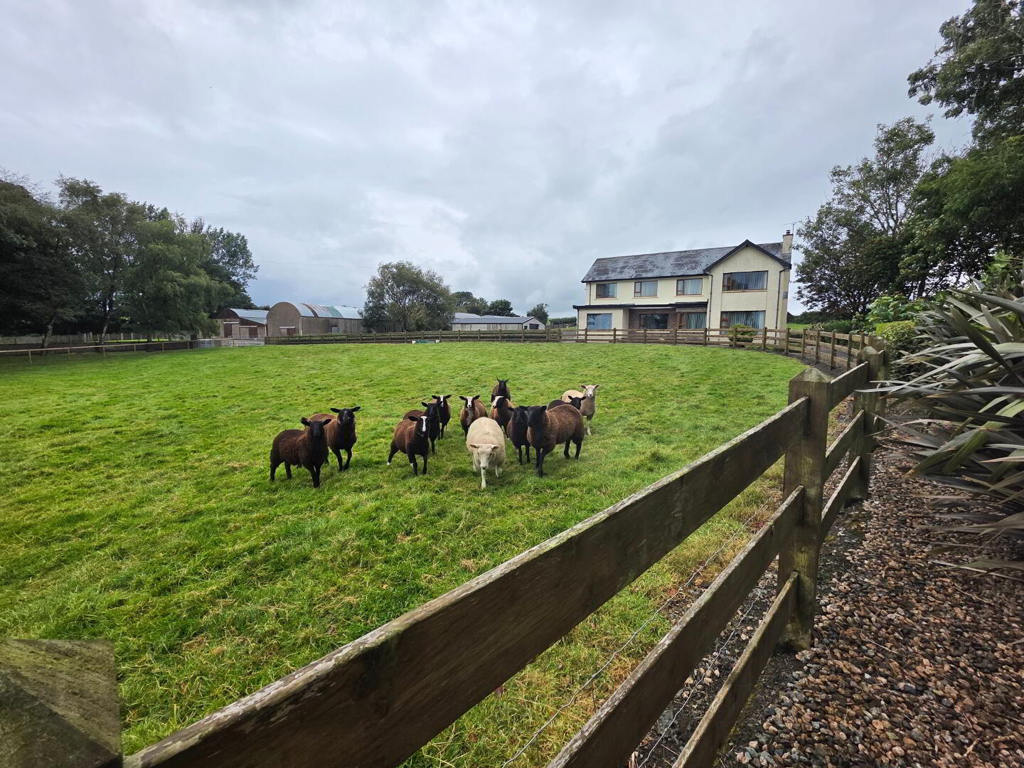 'Mullaghdubh', 54 Ballykenver Road 11 of 60