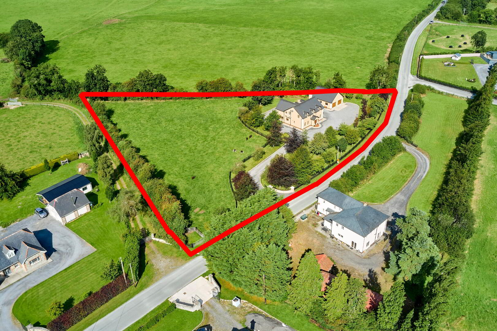 The Paddock Moygrehan Lower 39 of 40