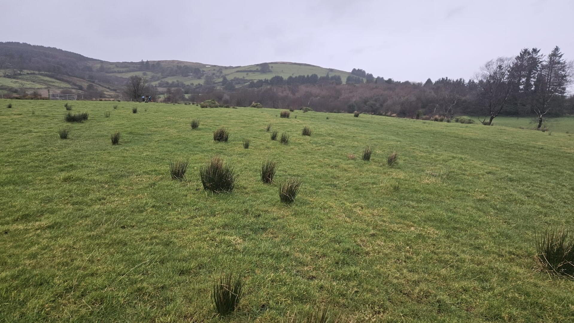 Lands At Glen Road 1 of 6