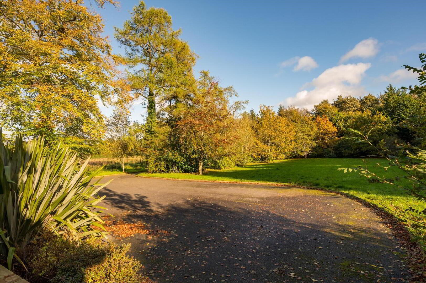 51 Curragh Road 6 of 40