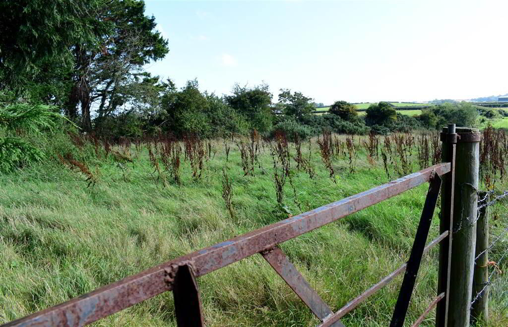 C House, Outbuildings Set On Six Acres, 10 Kilbright Road 37 of 40
