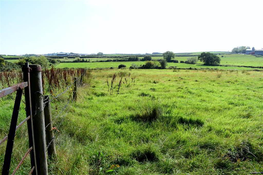 C House, Outbuildings Set On Six Acres, 10 Kilbright Road 38 of 40