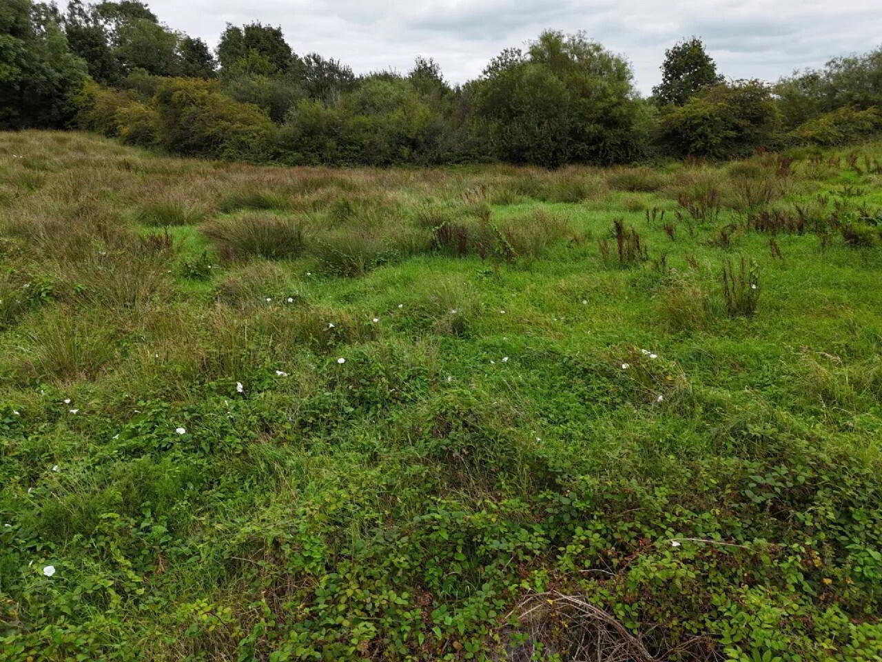 property description image