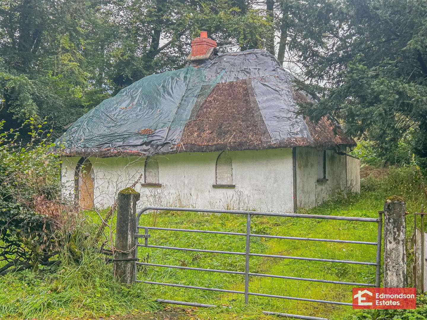 Bee Hive Cottage, 147 Ballywatermoy Road 6 of 9