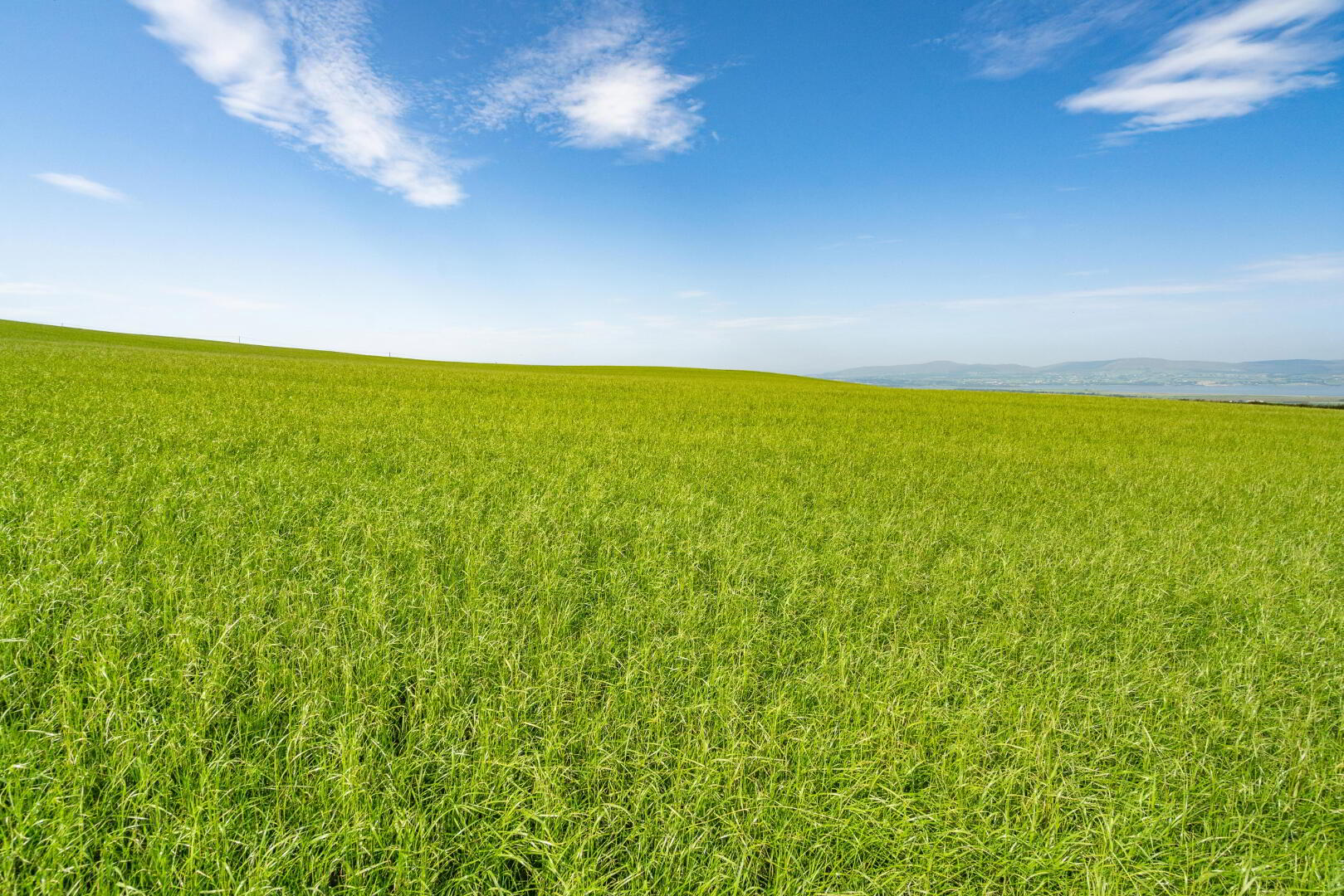 Land At Craigback Road 6 of 10