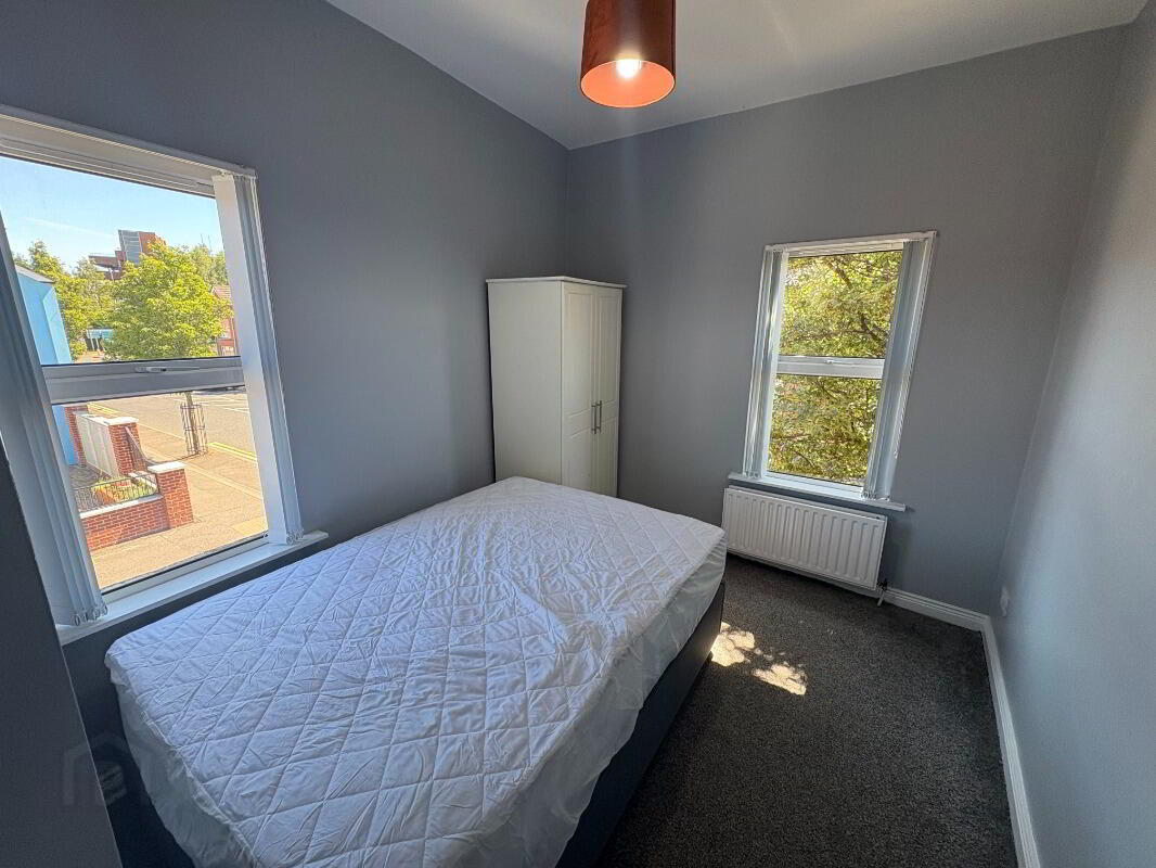 229 Donegall Road 8 of 11