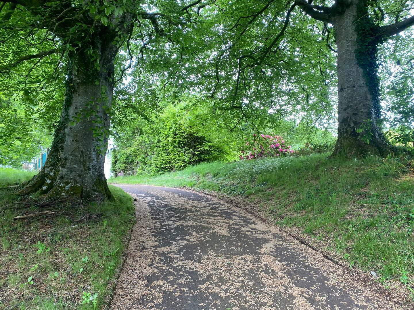The Old Manse, 26 Boveedy Road 24 of 26