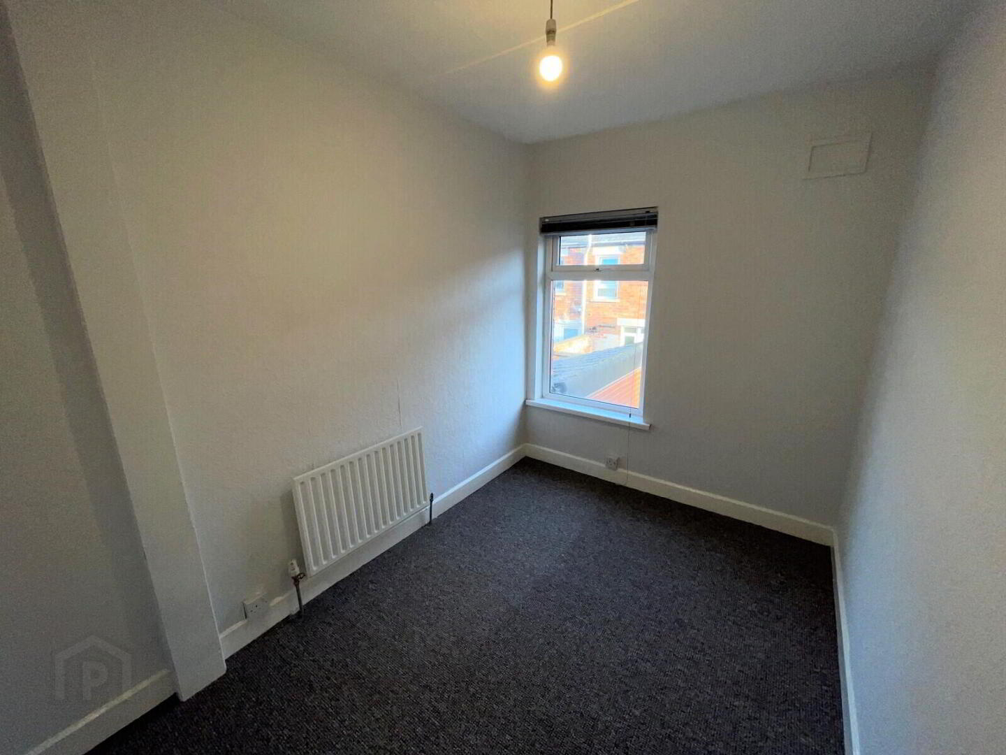 148 Ebor Street 8 of 9