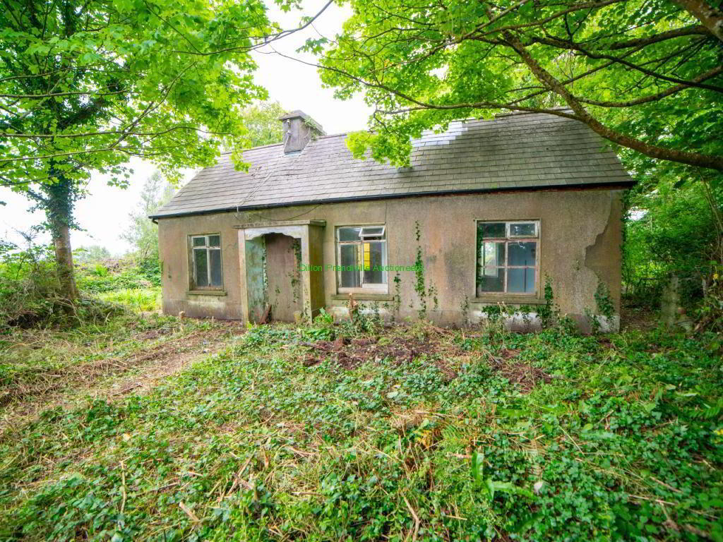 Tullahennel 16 of 17