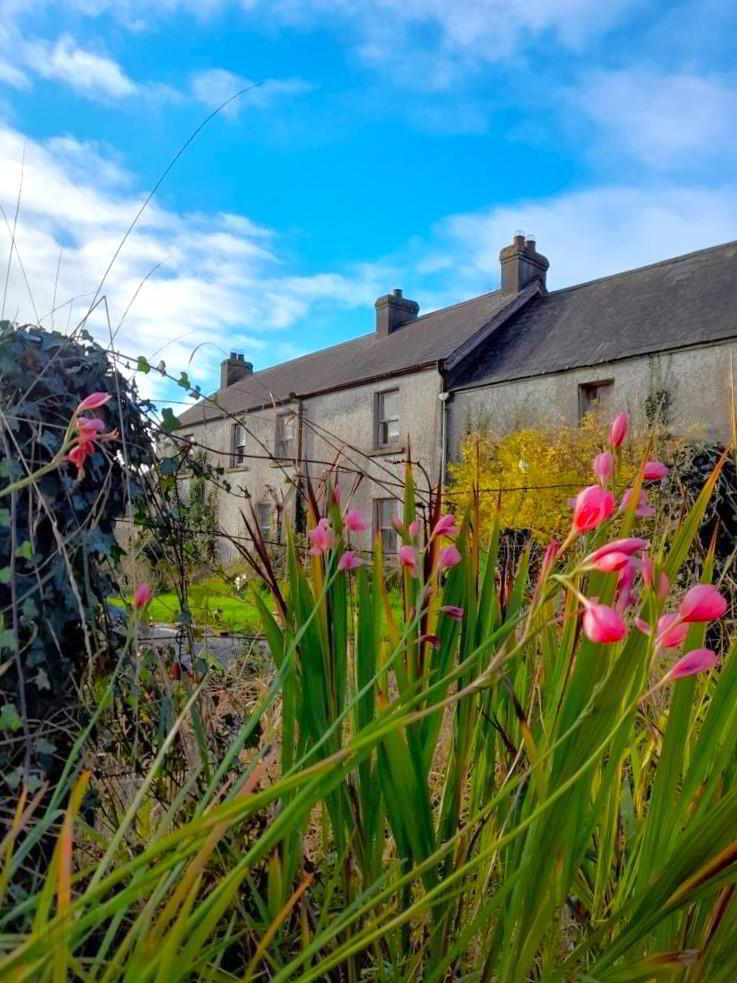 Dwelling, Annex, Site & Land At, 7 Loughanmore Road 40 of 57