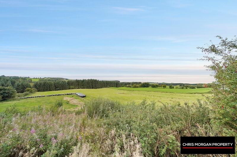 28 Altmore Road, Pomeroy 51 of 52