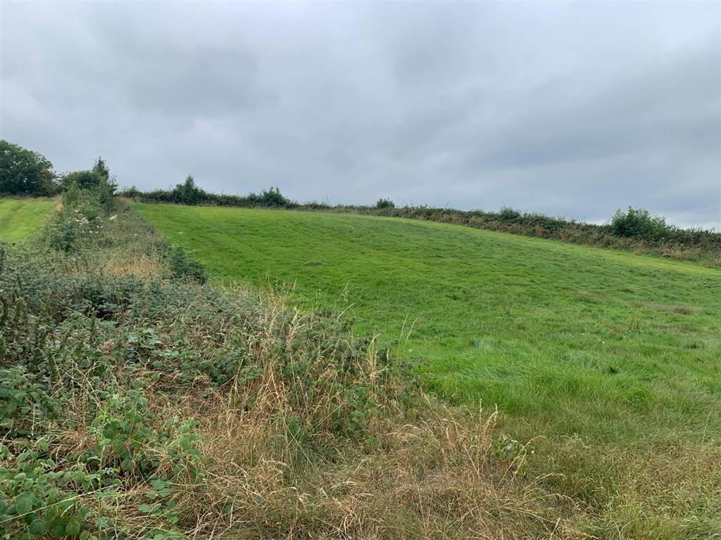Approx 24.5 Acres Of Agricultural Land, Adjacent, To 229 Ballynahinch Road 3 of 12