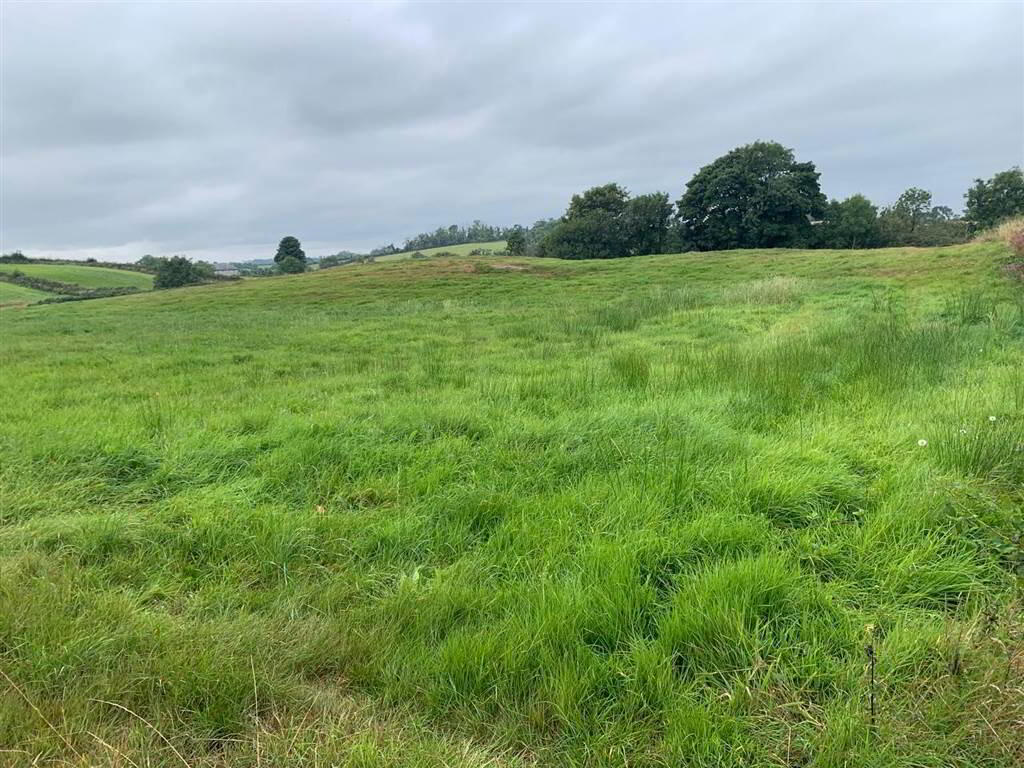 Approx 24.5 Acres Of Agricultural Land, Adjacent, To 229 Ballynahinch Road 10 of 12