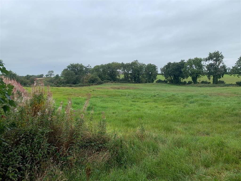 Approx 24.5 Acres Of Agricultural Land, Adjacent, To 229 Ballynahinch Road 5 of 12