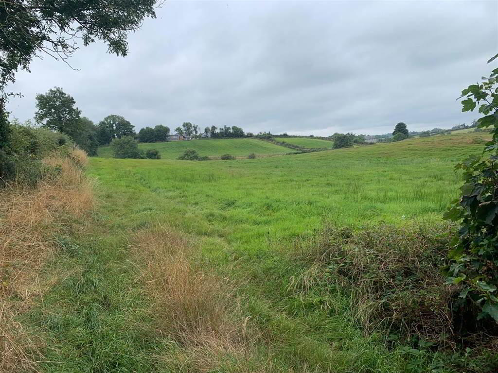 Approx 24.5 Acres Of Agricultural Land, Adjacent, To 229 Ballynahinch Road 4 of 12