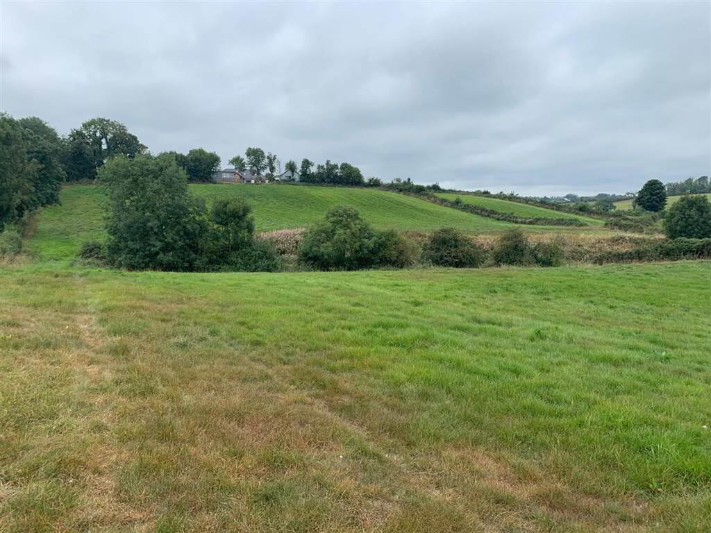 Approx 24.5 Acres Of Agricultural Land, Adjacent, To 229 Ballynahinch Road 8 of 12