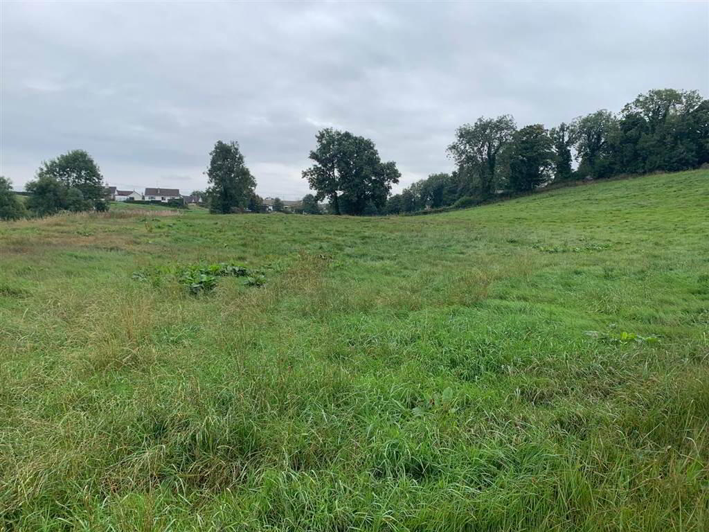 Approx 24.5 Acres Of Agricultural Land, Adjacent, To 229 Ballynahinch Road 9 of 12