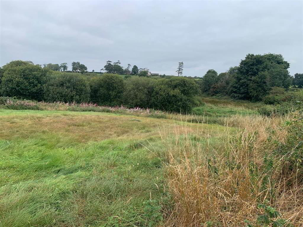 Approx 24.5 Acres Of Agricultural Land, Adjacent, To 229 Ballynahinch Road 7 of 12