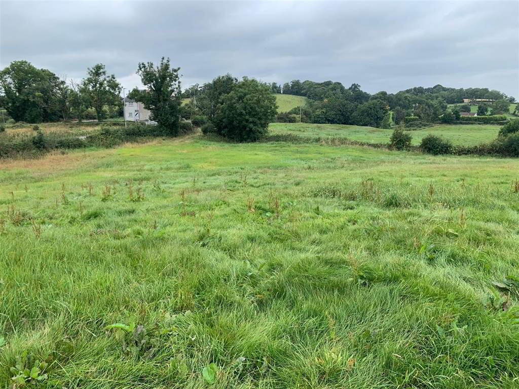 Approx 24.5 Acres Of Agricultural Land, Adjacent, To 229 Ballynahinch Road 1 of 12