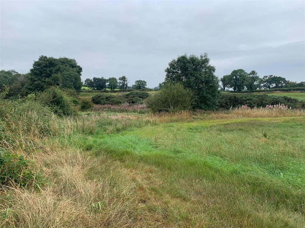 Approx 24.5 Acres Of Agricultural Land, Adjacent, To 229 Ballynahinch Road 11 of 12