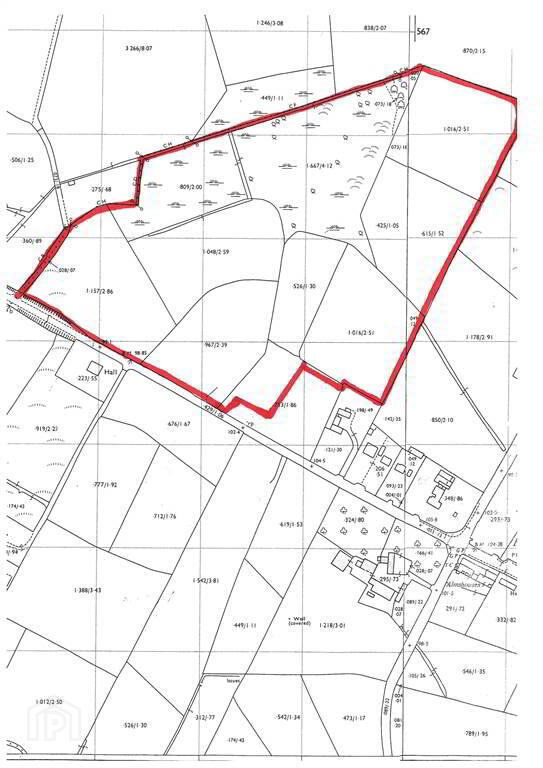 Approx 24.5 Acres Of Agricultural Land, Adjacent, To 229 Ballynahinch Road 12 of 12
