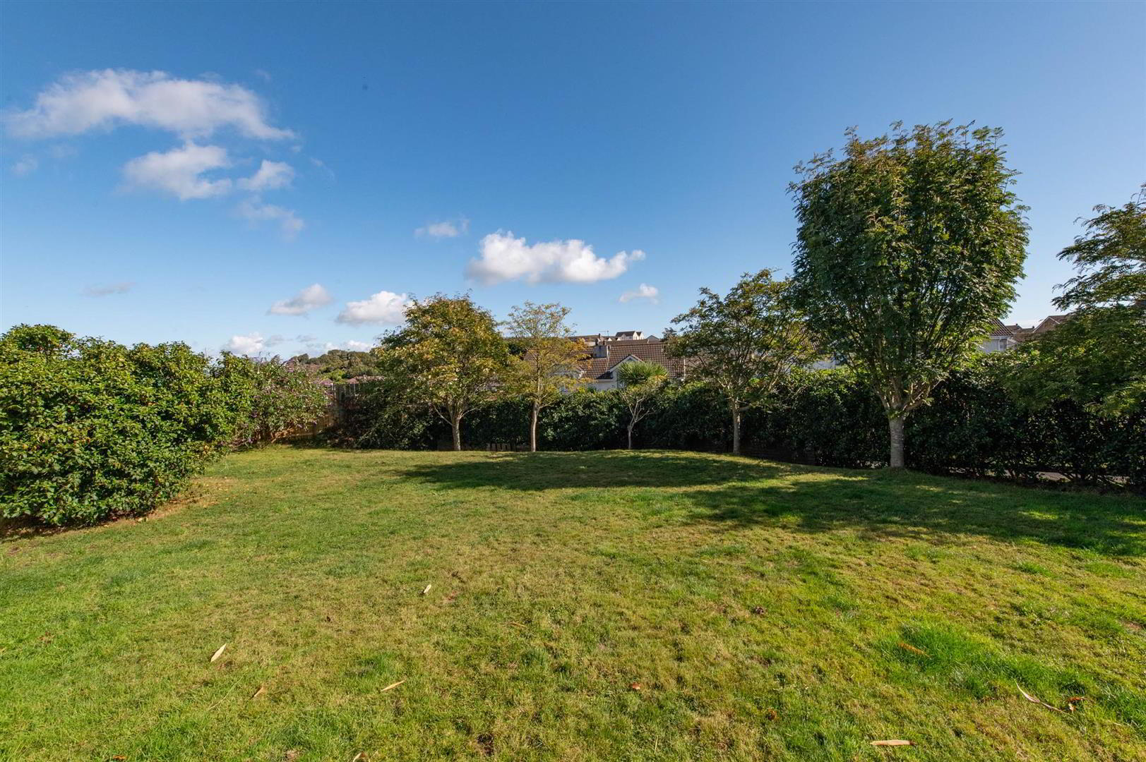 36 Vianstown Heights 25 of 33