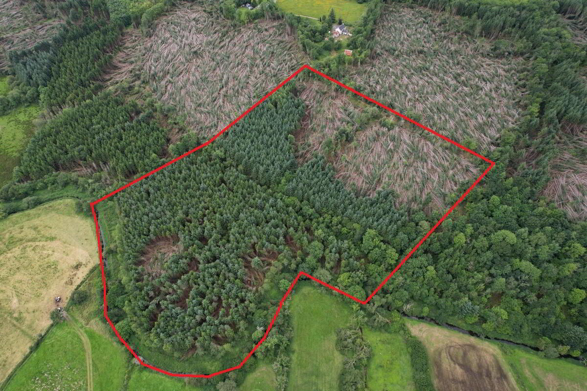 property description image