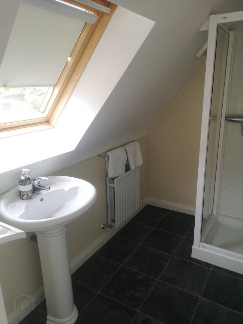 17 Drumlegagh Road North 21 of 32
