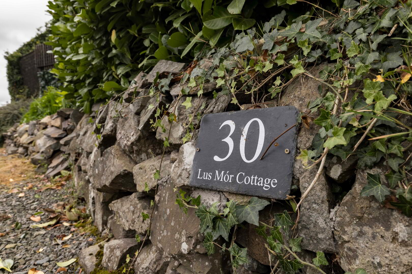 Lus Mor Cottage, 30 The New Road 3 of 59