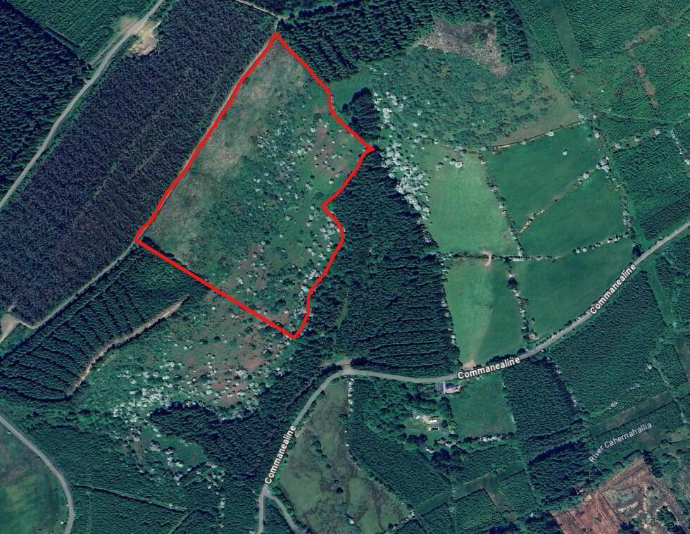 C.19.03 Acres 1 of 2